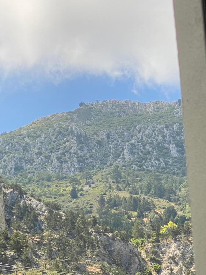 Chardonnay Guest Studio Rooms With Great View For Nature Lovers Кіренія Екстер'єр фото